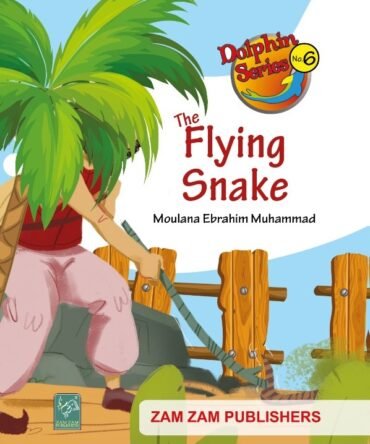 The Flying Snack children's book